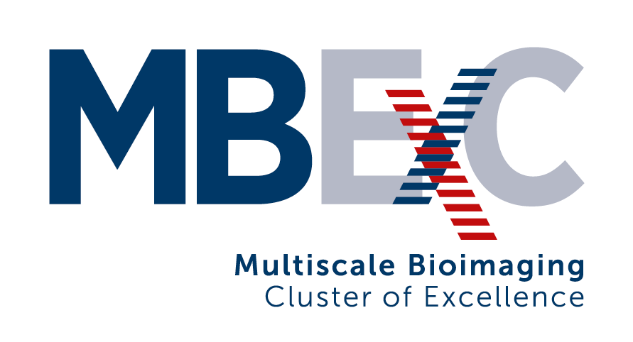 MBExC Multiscale Bioimaging Cluster of Excellence