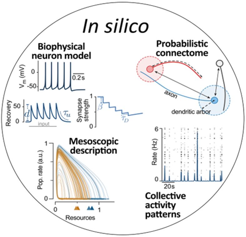 Disease_Modeling_Plattform3_03