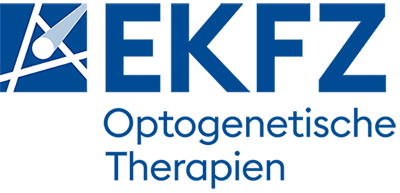ekfz