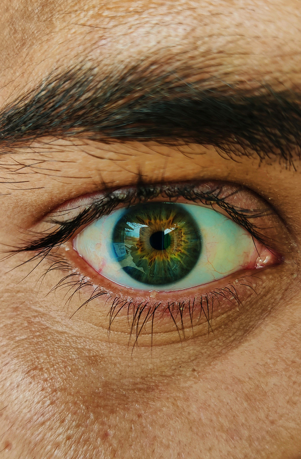 utkarxh-rathore-DmBtO0VTvaY-unsplash