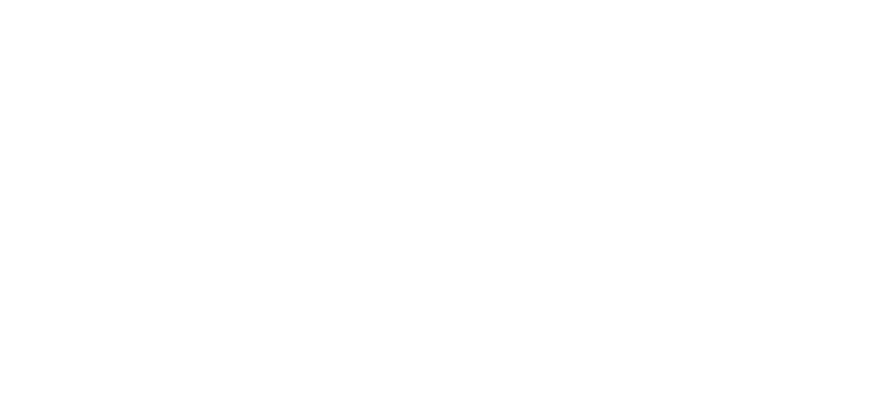 Logo EKFZ
